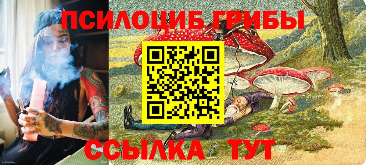 Котлас  Галлюциногенные грибы MAGIC MUSHROOMS  где купить наркотик  Вход с VPN 